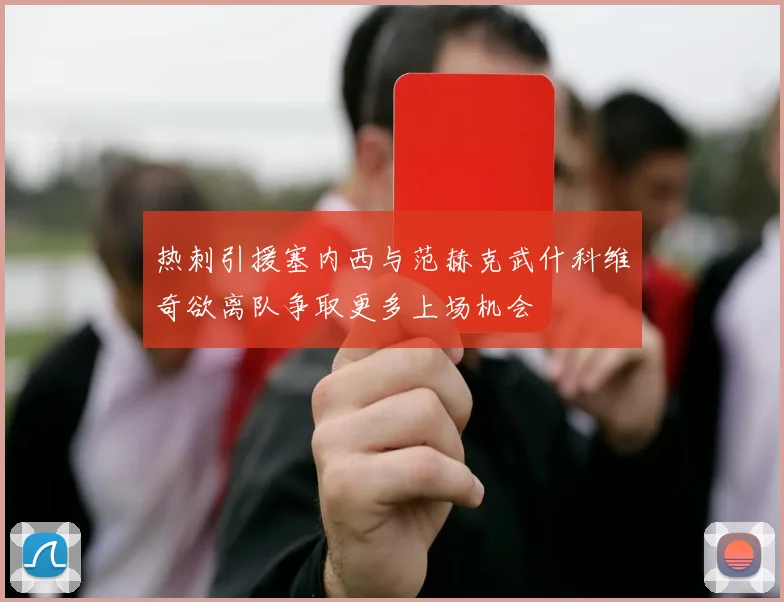 热刺引援塞内西与范赫克武什科维奇欲离队争取更多上场机会